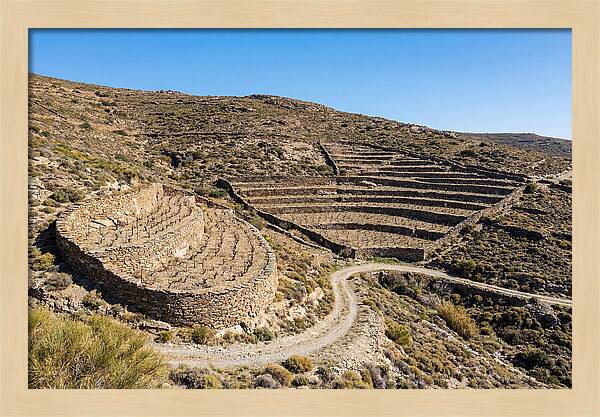 Terraced Vineyard On Steep Hillside