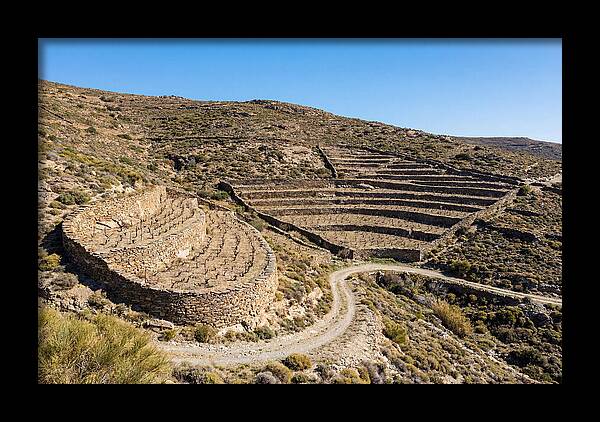 Terraced Vineyard On Steep Hillside