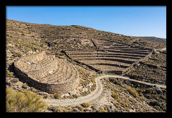 Terraced Vineyard On Steep Hillside