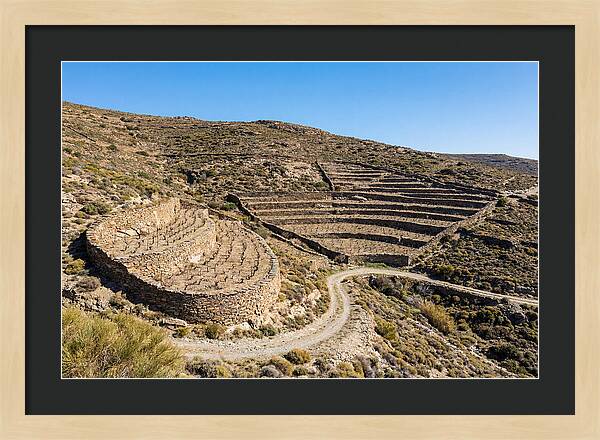 Terraced Vineyard On Steep Hillside