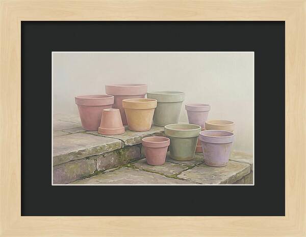 Terracotta Pots On Stone Patio