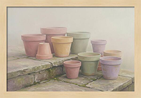 Terracotta Pots On Stone Patio