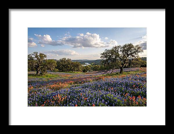 Texas Hill Country Blooms