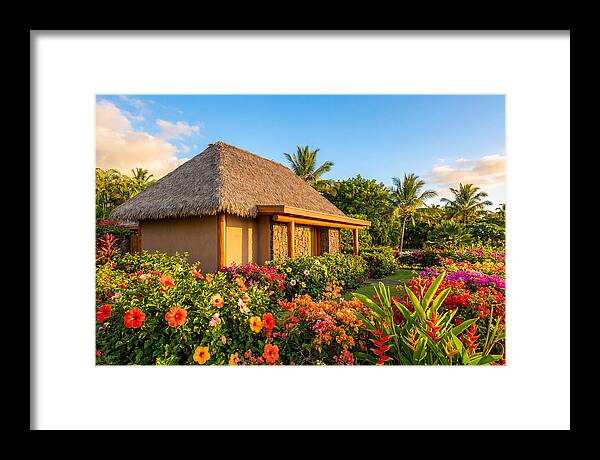 Thatched Roof Cottage Surrounded By Blooms