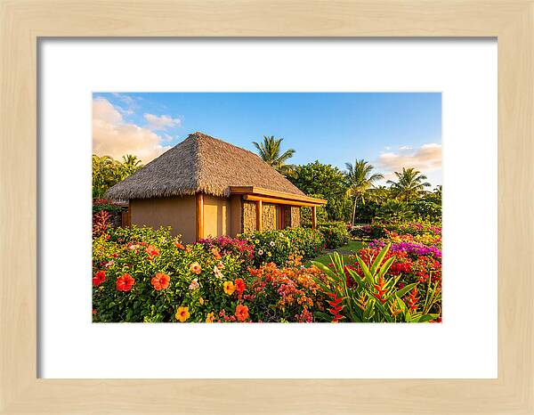 Thatched Roof Cottage Surrounded By Blooms