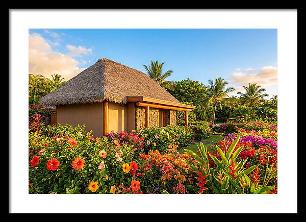 Thatched Roof Cottage Surrounded By Blooms