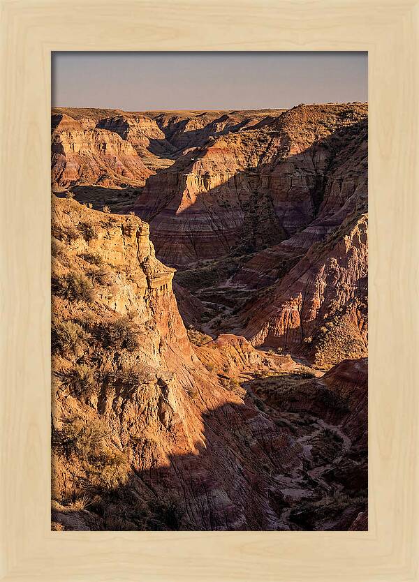 Theodore Roosevelt Badlands Serenity