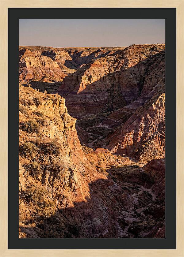 Theodore Roosevelt Badlands Serenity