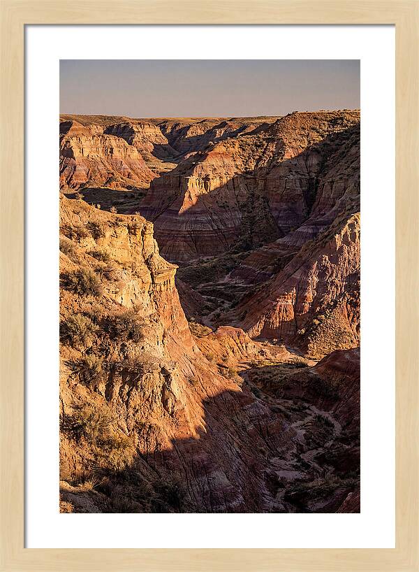 Theodore Roosevelt Badlands Serenity