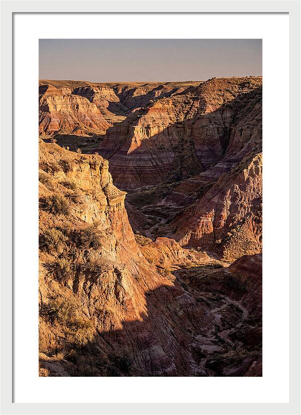 Theodore Roosevelt Badlands Serenity