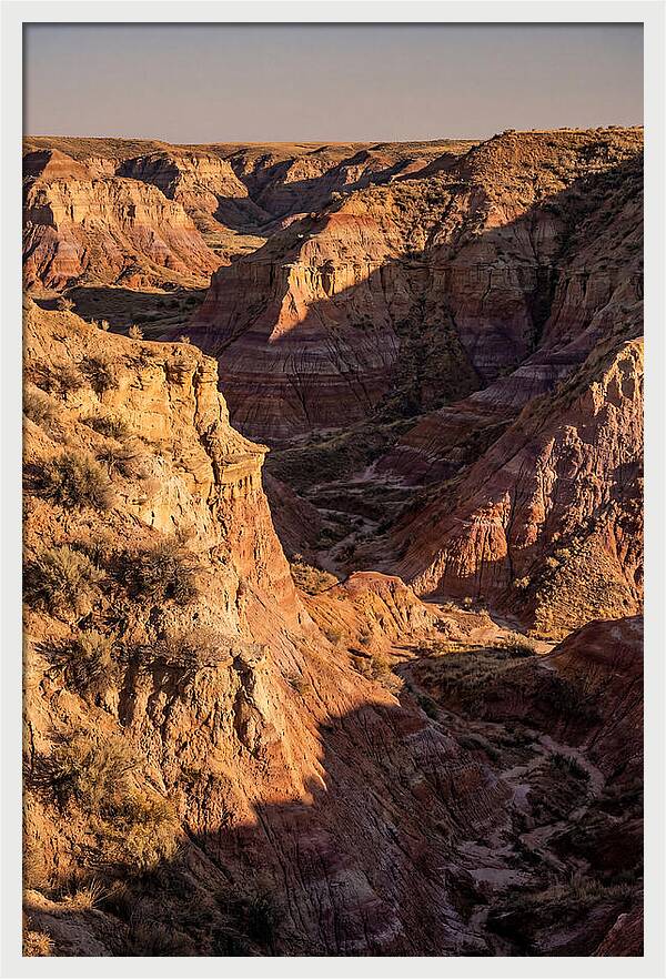 Theodore Roosevelt Badlands Serenity