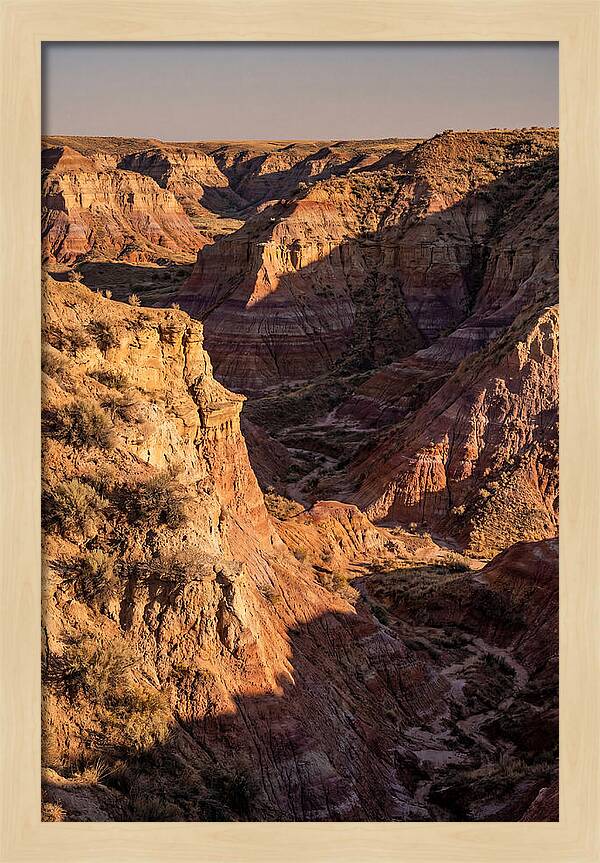 Theodore Roosevelt Badlands Serenity