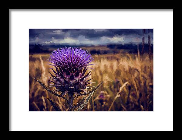 Thistle Flower Head In Vivid Purple