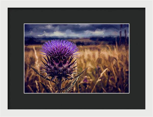 Thistle Flower Head In Vivid Purple