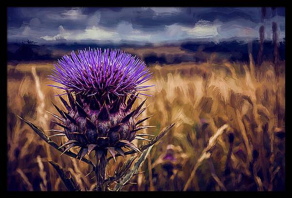 Thistle Flower Head In Vivid Purple