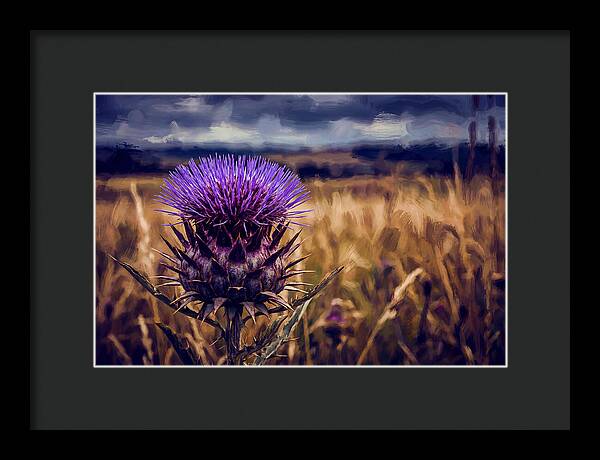 Thistle Flower Head In Vivid Purple