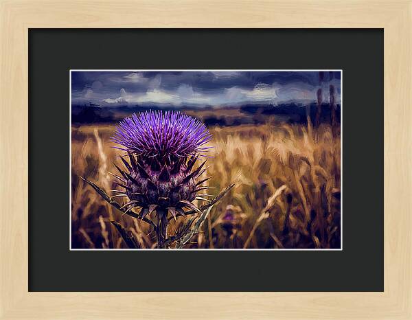 Thistle Flower Head In Vivid Purple