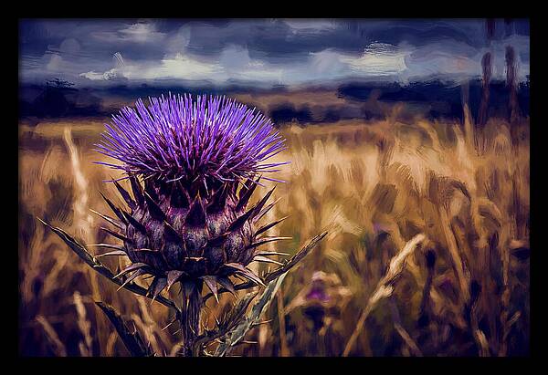 Thistle Flower Head In Vivid Purple