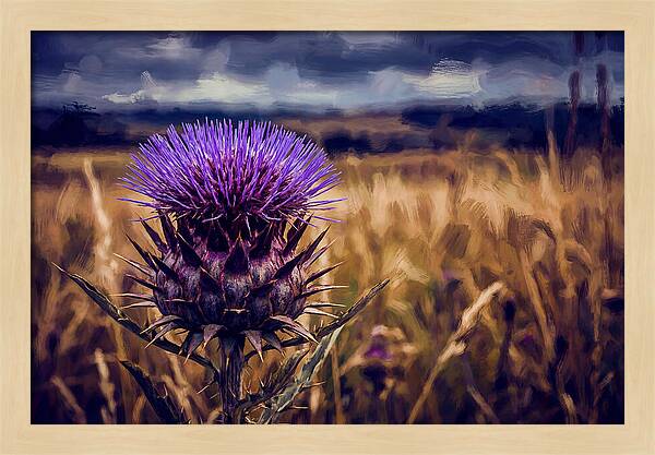 Thistle Flower Head In Vivid Purple