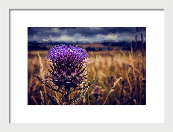 Thistle Flower Head In Vivid Purple