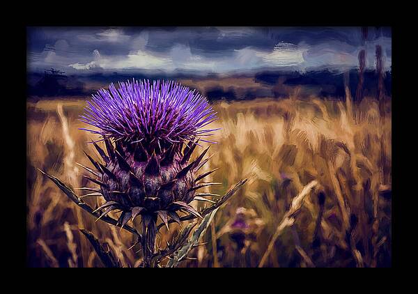 Thistle Flower Head In Vivid Purple