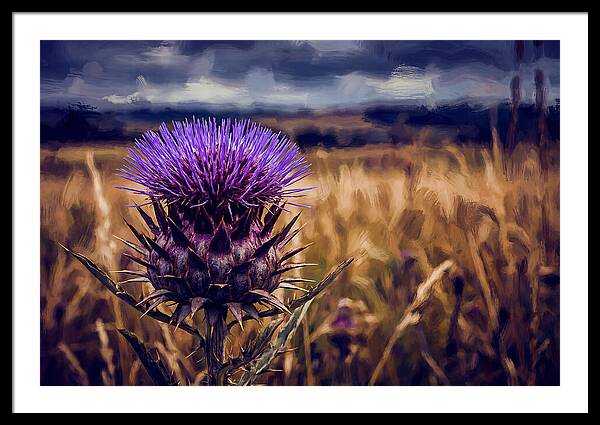 Thistle Flower Head In Vivid Purple