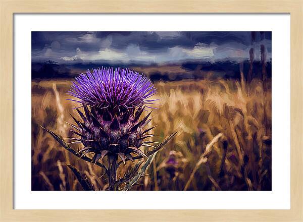 Thistle Flower Head In Vivid Purple