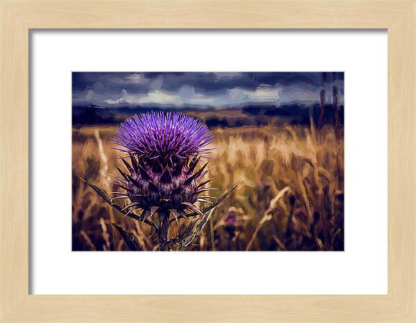Thistle Flower Head In Vivid Purple