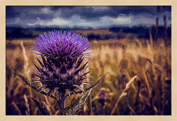 Thistle Flower Head In Vivid Purple