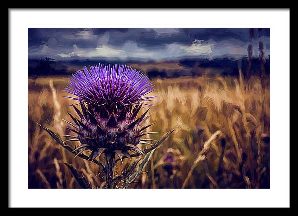 Thistle Flower Head In Vivid Purple