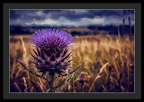 Thistle Flower Head In Vivid Purple