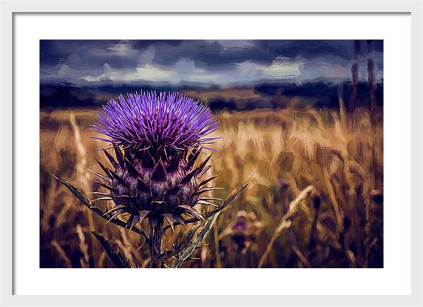 Thistle Flower Head In Vivid Purple