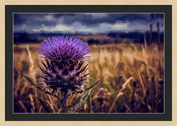 Thistle Flower Head In Vivid Purple