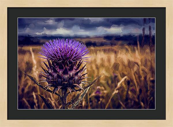 Thistle Flower Head In Vivid Purple