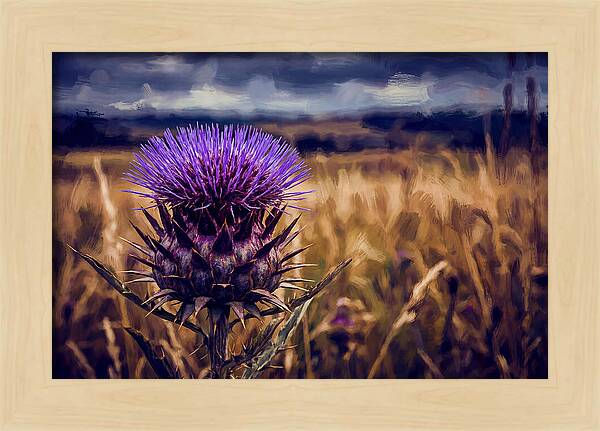 Thistle Flower Head In Vivid Purple