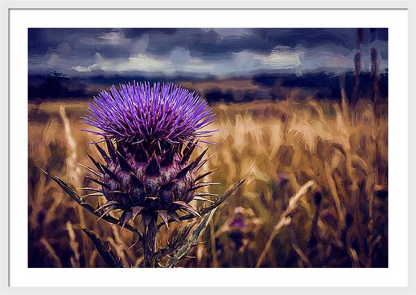 Thistle Flower Head In Vivid Purple