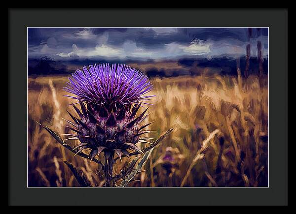Thistle Flower Head In Vivid Purple