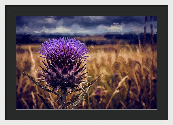 Thistle Flower Head In Vivid Purple
