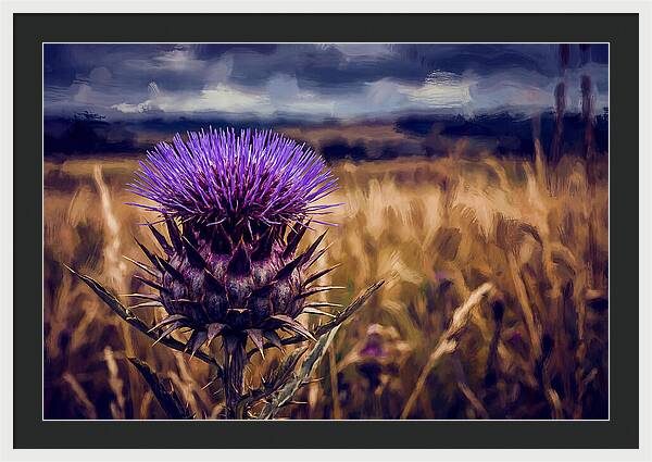 Thistle Flower Head In Vivid Purple