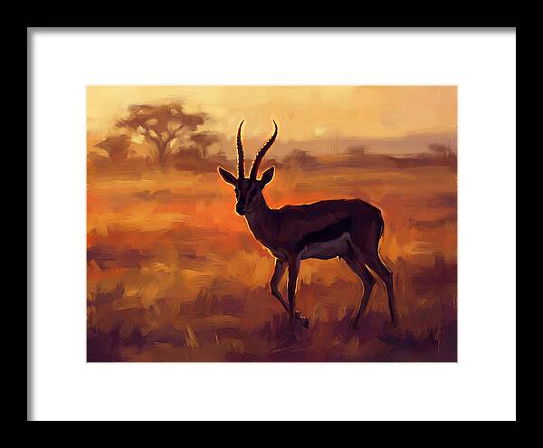Thomson Gazelle At Dusk