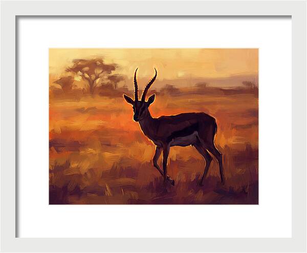 Thomson Gazelle At Dusk