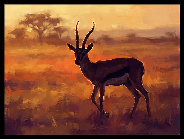 Thomson Gazelle At Dusk