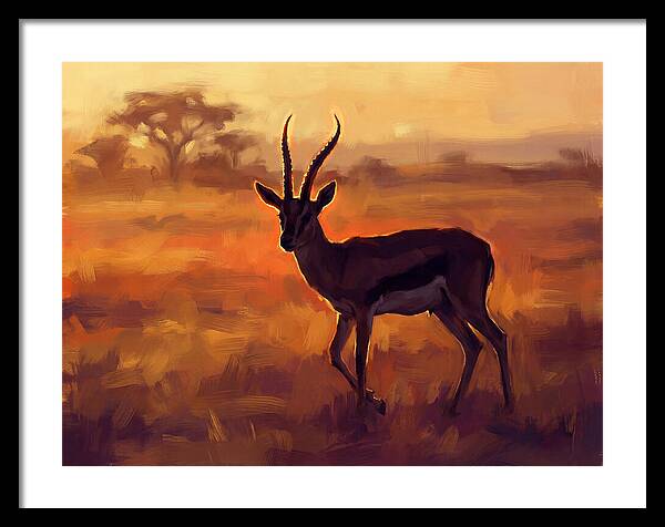 Thomson Gazelle At Dusk