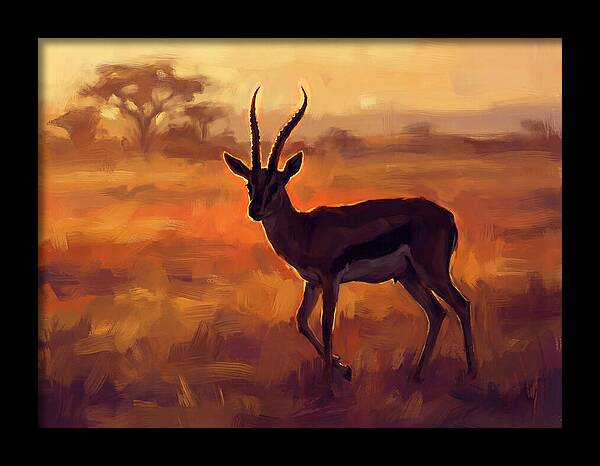 Thomson Gazelle At Dusk