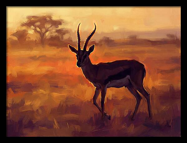 Thomson Gazelle At Dusk