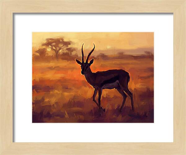 Thomson Gazelle At Dusk