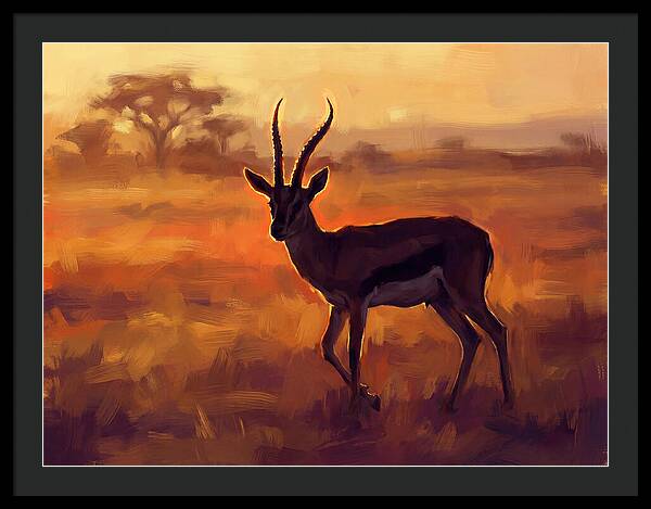 Thomson Gazelle At Dusk