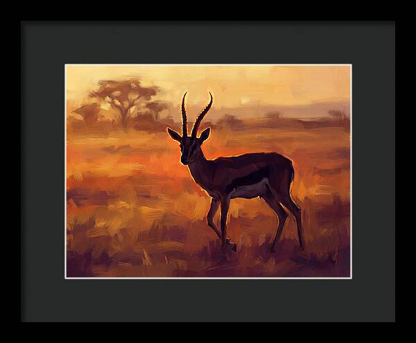 Thomson Gazelle At Dusk