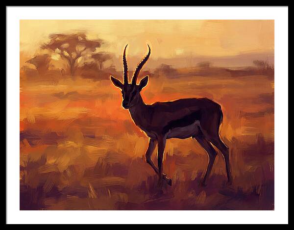 Thomson Gazelle At Dusk