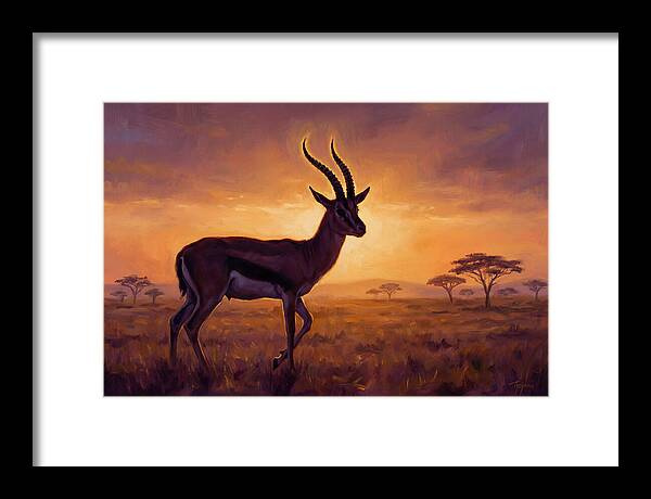 Thomson Gazelle At Sunset